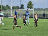 S.K.N.W.K. JO8-1 - M.Z.C. '11 JO8-3 (competitie) 2024-2025 (4e fase) (52/109)